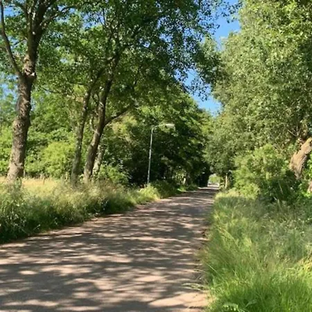 Horská chata In Wiringherlant With Garden Terrace Hippolytushoef